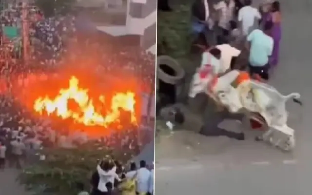 Two Injured as Bulls Run Into Raging Fire During Makar Sankranti Rituals in Mandya - News Karnataka