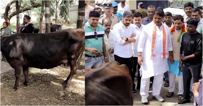 BJP protests against brutal act on cows in Bengaluru - News Karnataka