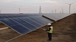 Concerns Rise Over Tree Felling for Solar Power Project in Tumakuru - News Karnataka