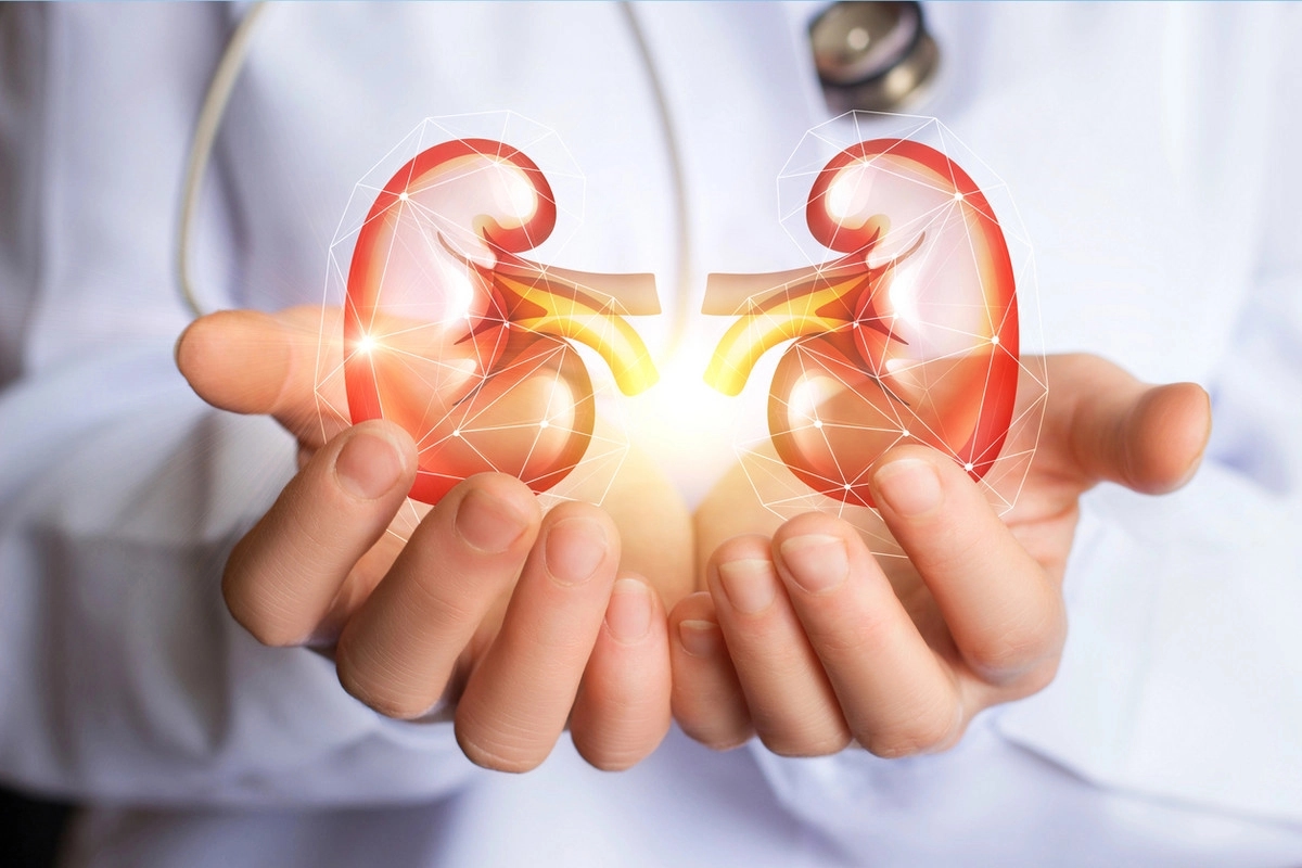 Kidney Cancer Research aims for better treatment strategies for kidney cancer - News Karnataka