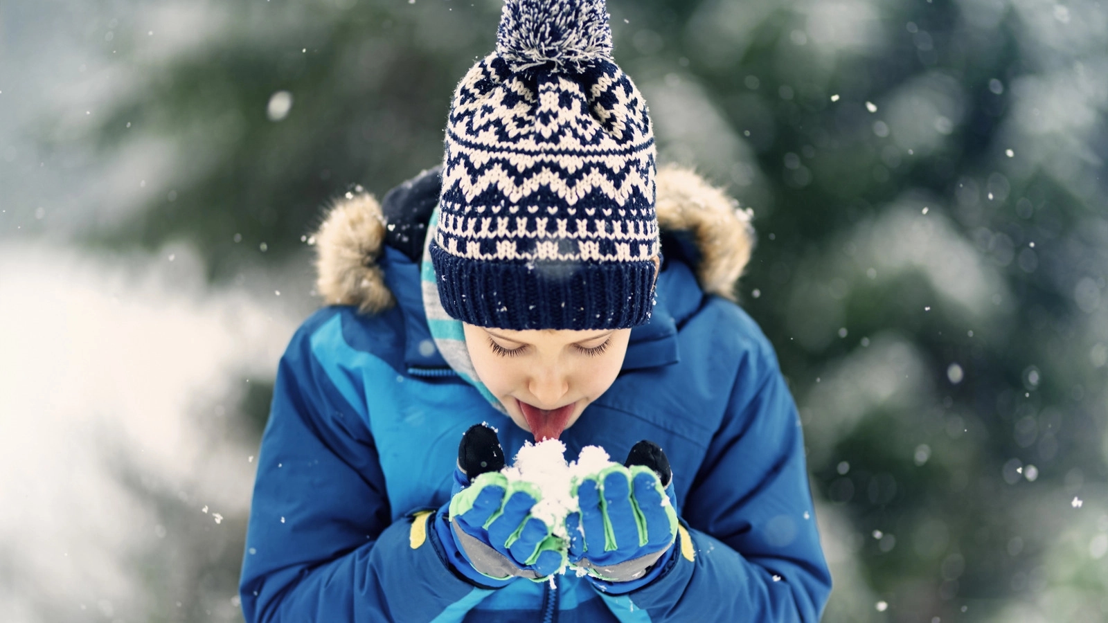 Should you eat snow? experts reveal the truth - News Karnataka