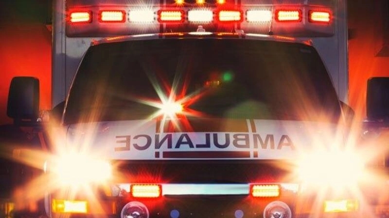 Teen student collapses, dies of heart attack during school trip to theme park - News Karnataka