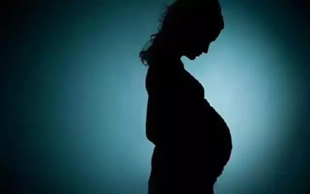 Kodagu Reports 30 Pregnant Minors in Pocso Cases - News Karnataka