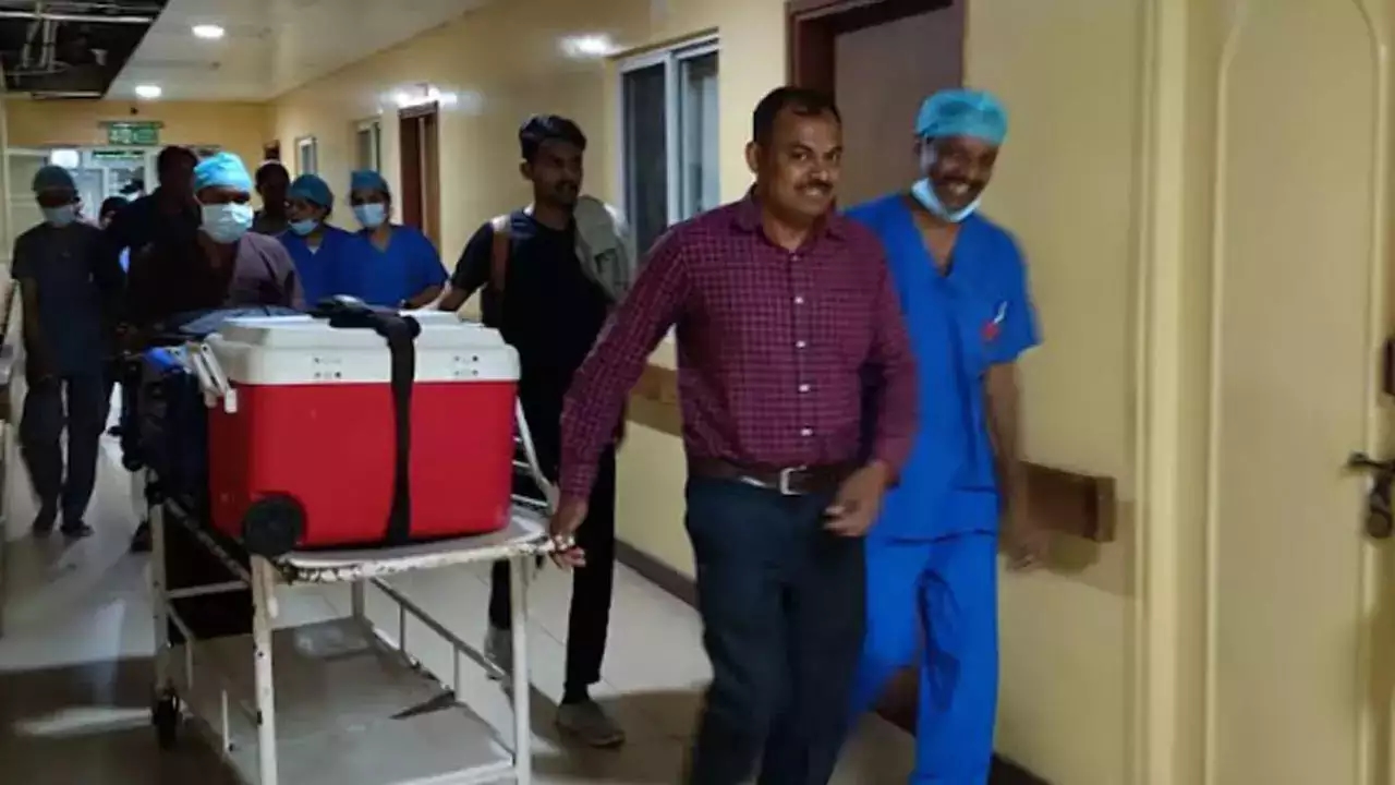 Family donates organs of 35-year-old after accident - News Karnataka