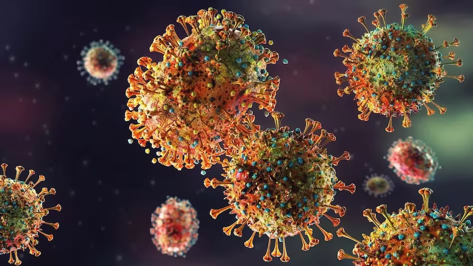 Another deadly virus from North America spreading panic - News Karnataka