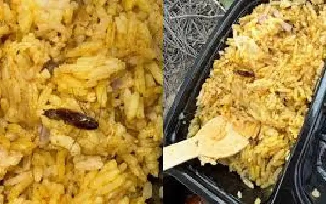 Bengaluru Police Suspend Food Contract After Insects Found in Meals for Aero India - News Karnataka