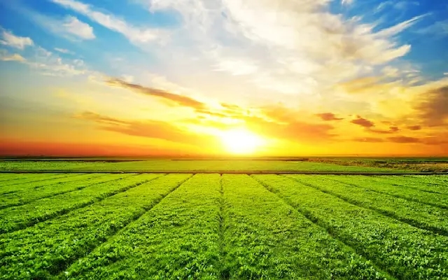 Bengaluru's C-CAMP Pioneers Eco-Friendly Farming Solutions - News Karnataka