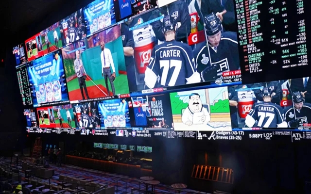 The Growing Role of Data in Sports Betting Success - News Karnataka