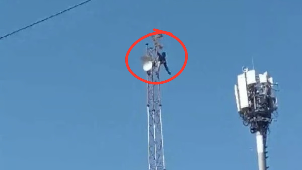 Drunken youth climbs mobile tower, causing panic around - News Karnataka
