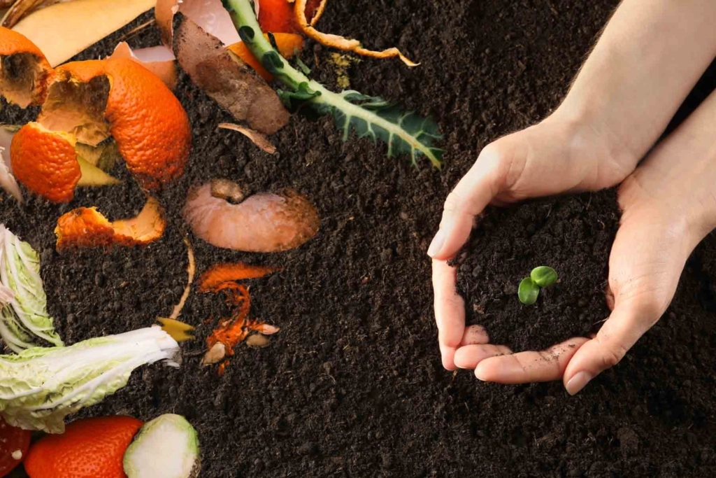 Composting Household Waste Key to Environmental Sustainability - News Karnataka