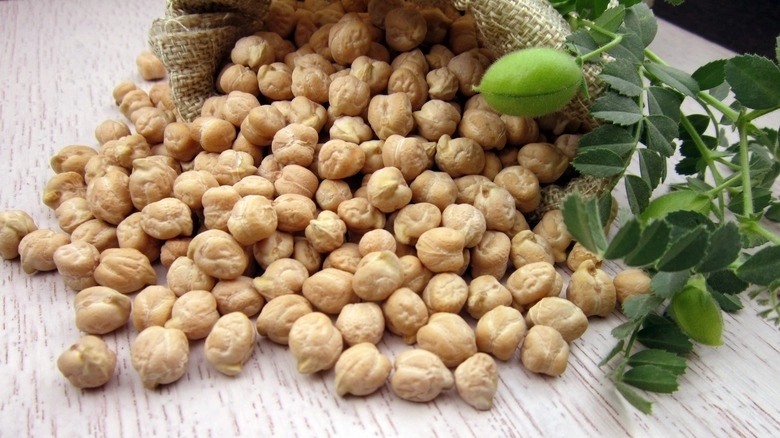 German chickpeas (kadle) seems to carry harmful and dangerous virus - News Karnataka