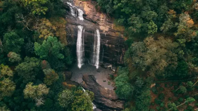 Kodagu tourism launches website for seamless travel planning - News Karnataka