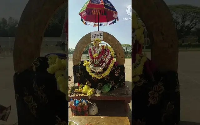 Mysore Palace Glows with Ratha Saptami Festivities - News Karnataka