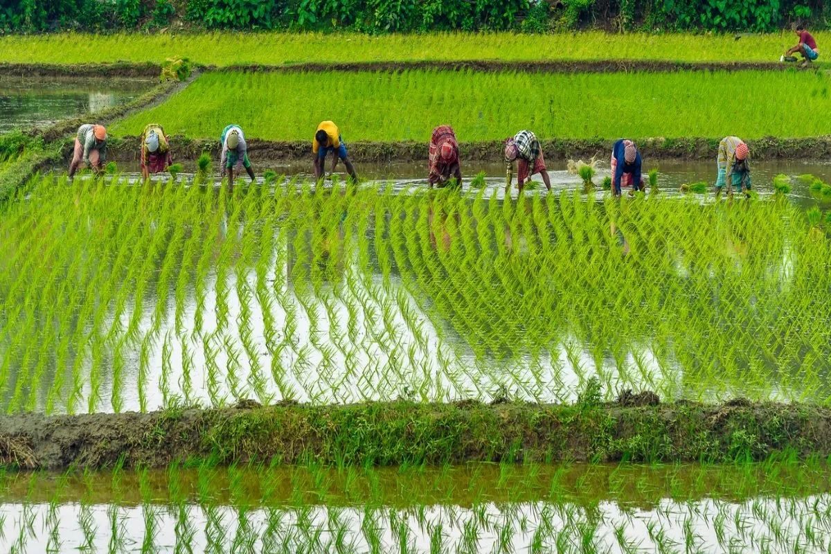Udupi Farmers Demand Increased Agricultural Funding and Establishment of College - News Karnataka