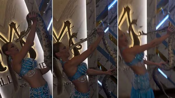 Russian dancer kisses snake and gets bitten during performance - News Karnataka