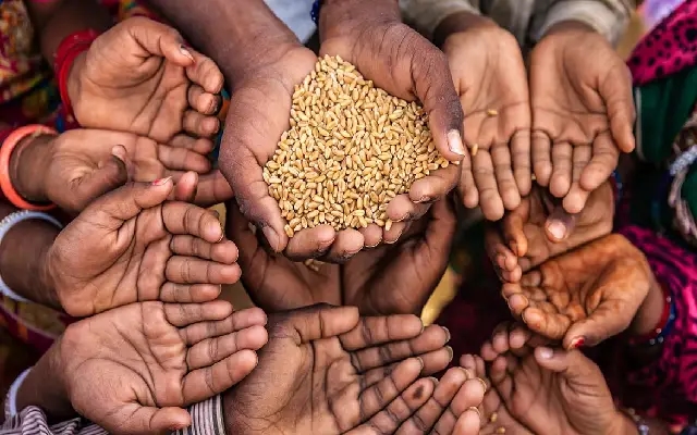 Staff Shortages Hampering Karnataka’s Malnutrition Centres: ISEC Study - News Karnataka