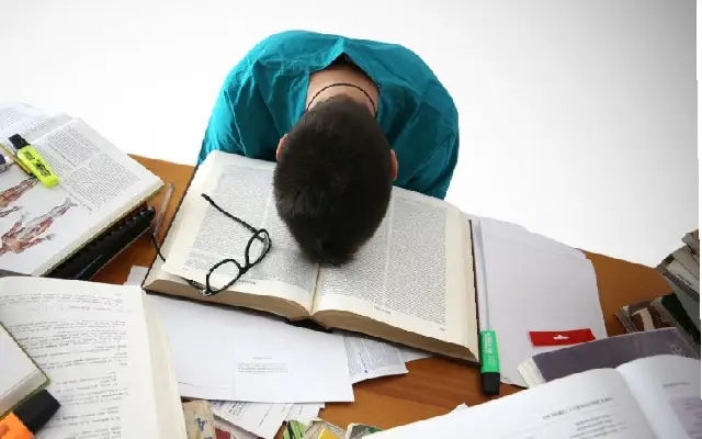 Alarming Literacy Crisis: Thousands of Koppal Students Struggle with Basic Kannada - News Karnataka
