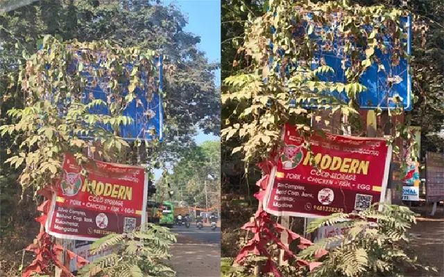 Lost in the Green: Overgrown Vines Hide Highway Signpost - News Karnataka