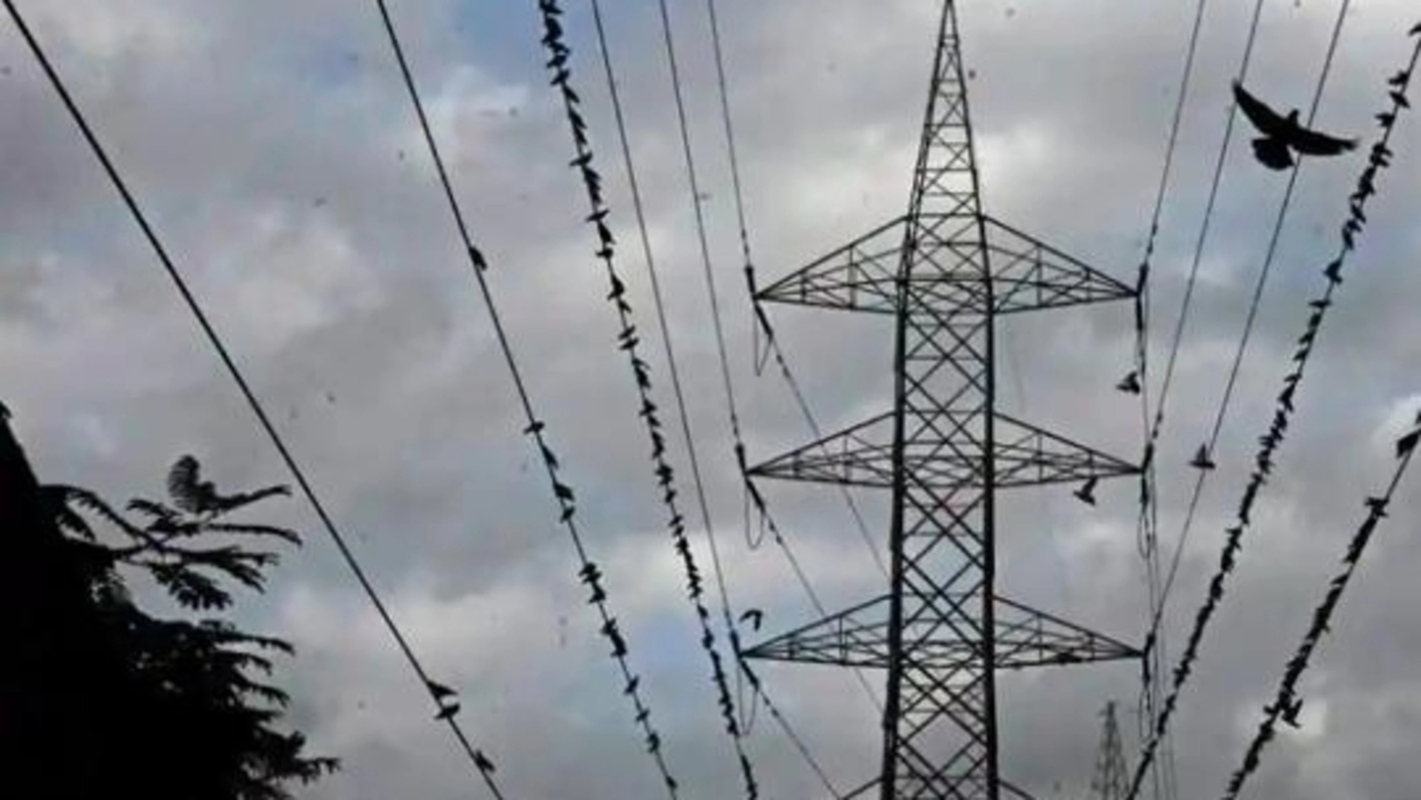 Scheduled Power Outages in Bengaluru on February 19 Due to Maintenance Work - News Karnataka