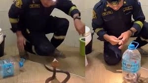 Fearless Man Tames Cobra with Bottle in Viral Video, Leaves Viewers Astonished - News Karnataka