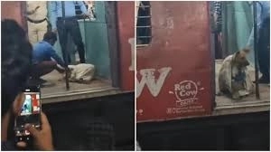 Heartbreaking Discovery: Dog Found Abandoned in Sack at Barasat Station - News Karnataka
