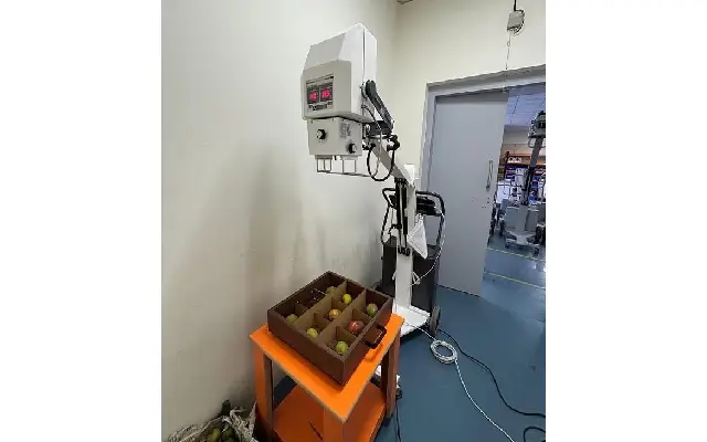 AI-Powered Mango Grading: Bengaluru Startup Unveils Game-Changer - News Karnataka