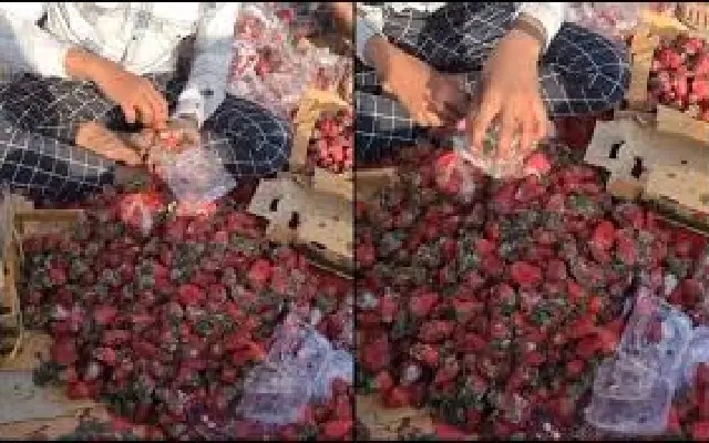 Alarming Video Exposes Vendors Selling Rotten Strawberries, Sparking Health Concerns - News Karnataka
