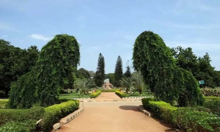 Bengaluru all set to become green with plants across the city - News Karnataka