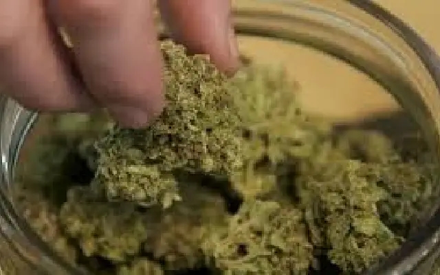 Bengaluru Police Arrest Two Drug Dealers Smuggling Ganja from Tripura - News Karnataka