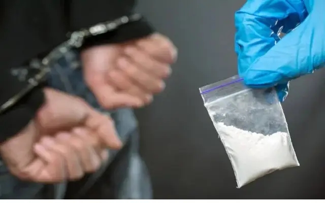 Bengaluru Police Bust Major Drug Ring, Seize Narcotics Worth Rs 60 Lakh - News Karnataka