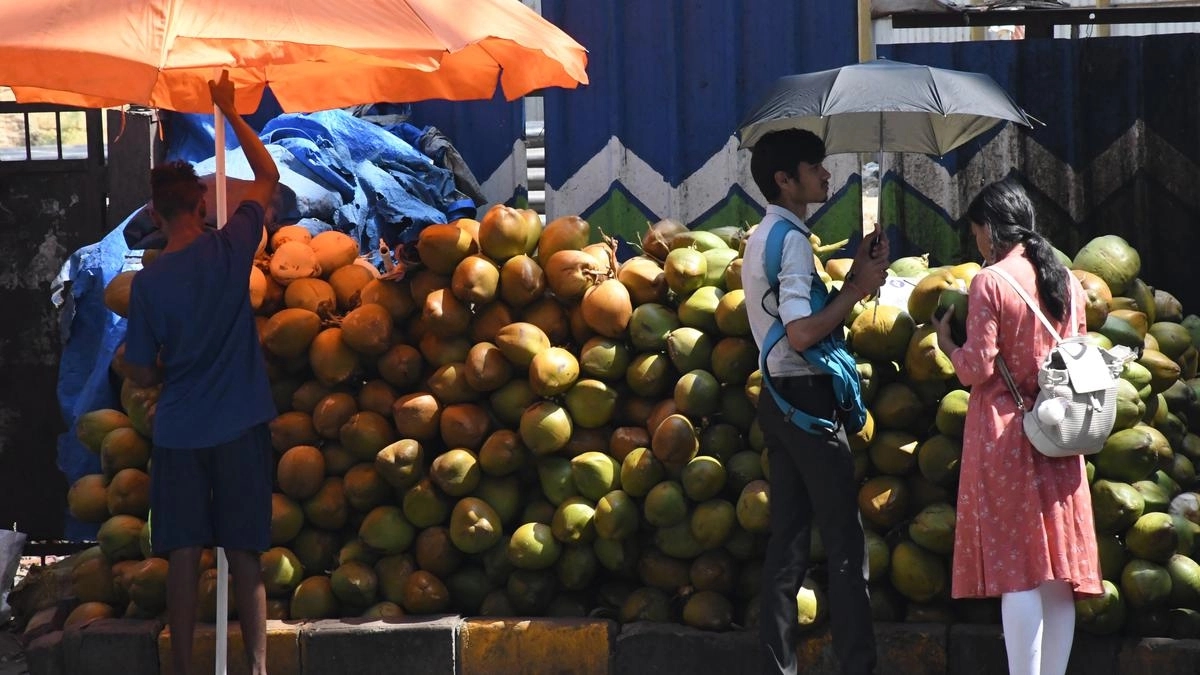Bengaluru’s beloved tender coconut prices soar past ₹70 this summer - News Karnataka