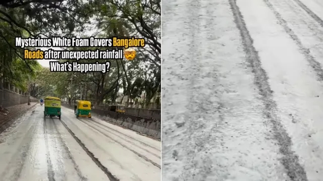 Bengaluru’s roads turn into foam party after first rain - News Karnataka