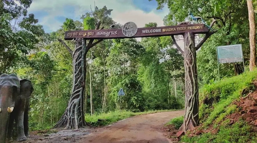 Bhadra sanctuary to get elephant camp to tackle human-wildlife conflict - News Karnataka