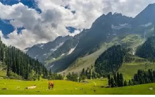Breathe Easy: 6 Hill Stations in India with Pristine Air - News Karnataka