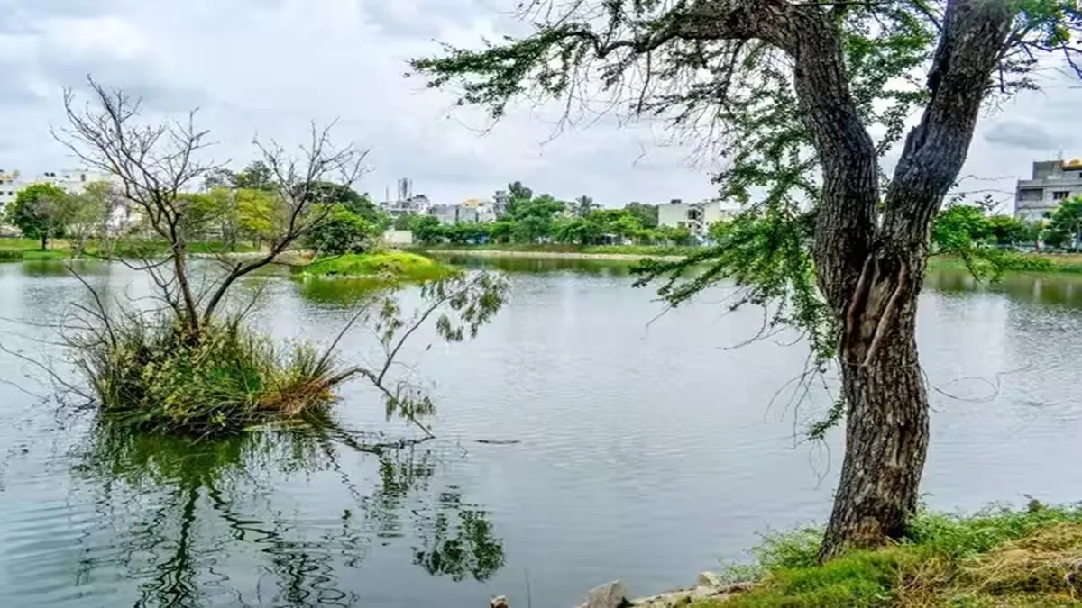BBMP provides ₹10-crore to give Chikkabellandur Lake new look - News Karnataka