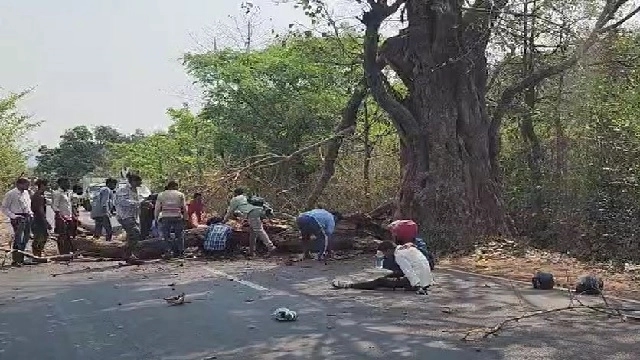 College student crushed to death as tree branch falls in Odisha - News Karnataka