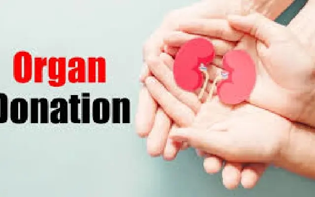 Advocate's Family Donates Organs, Saving Multiple Lives After Tragic Accident - News Karnataka
