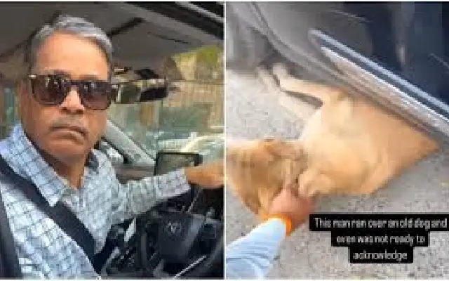 Delhi man runs over stray dog, refuses to take responsibility in viral video - News Karnataka