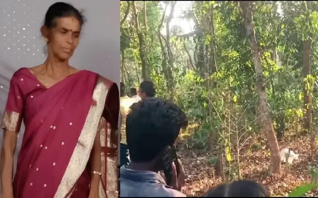 Karnataka Acts on Rising Elephant Attacks in Hassan - News Karnataka