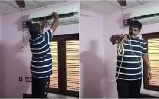 Family in Visakhapatnam Finds Snake and Hatchlings in AC Unit - News Karnataka