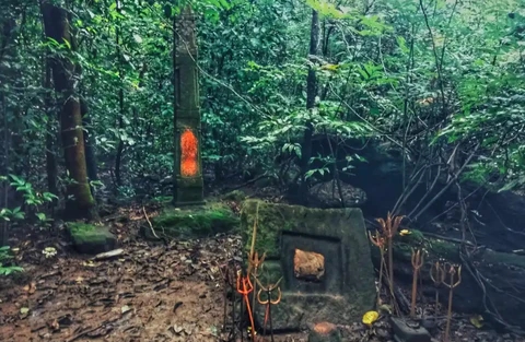 Reviving Sacred Groves: Community Effort Aims to Conserve Ecologically - News Karnataka