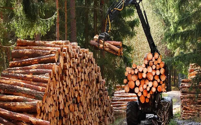 Forest Officials Intercept Illegal Timber Transport at Ganjimath - News Karnataka