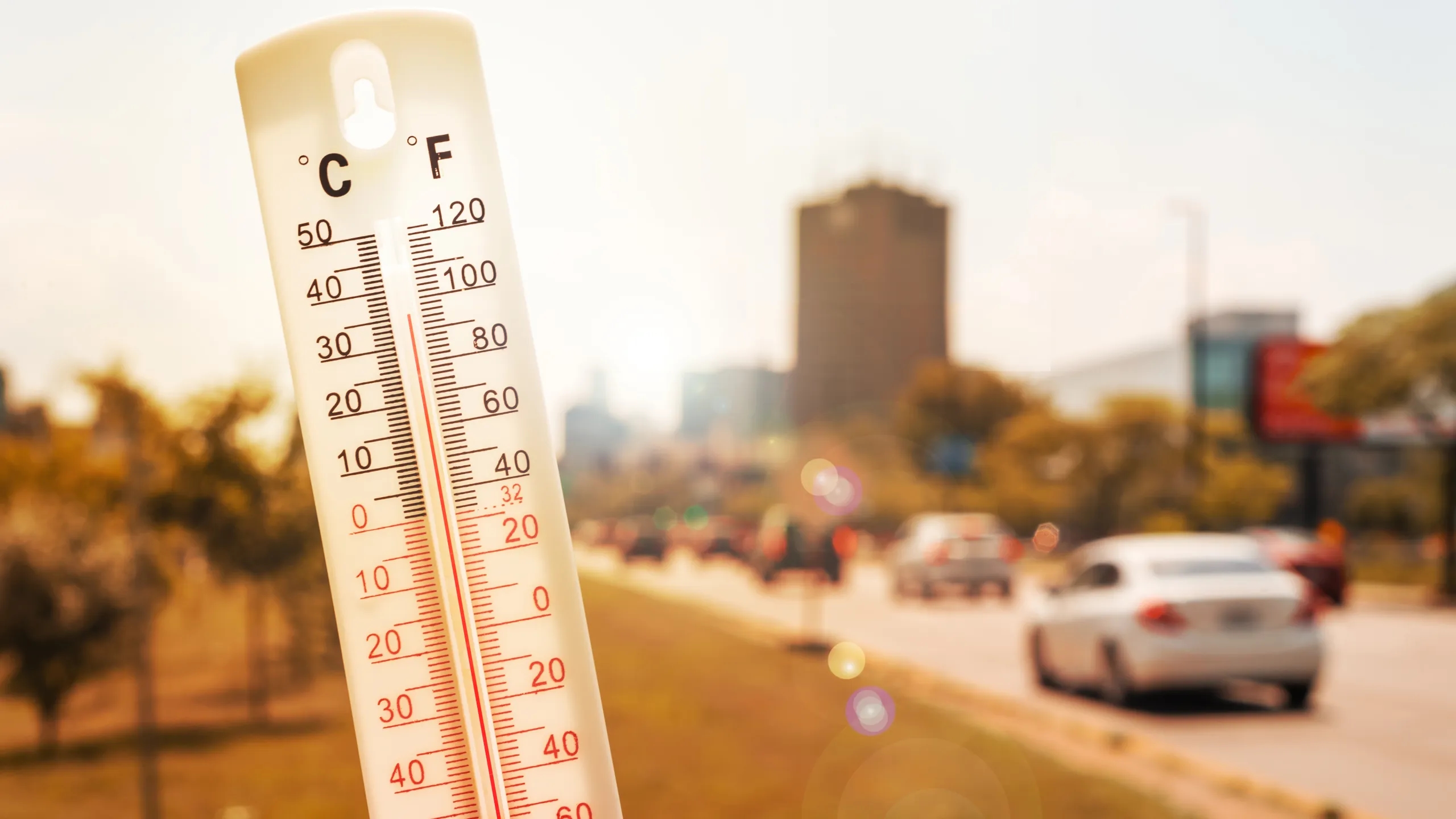 Global study shows Indian cities face rising heatwave threat - News Karnataka