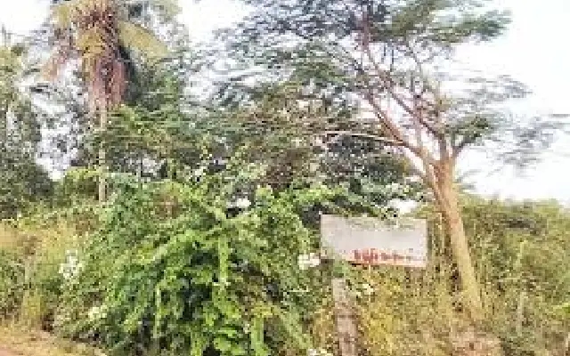 Inspection Held for Proposed Keonics Software Park in Mangaluru - News Karnataka