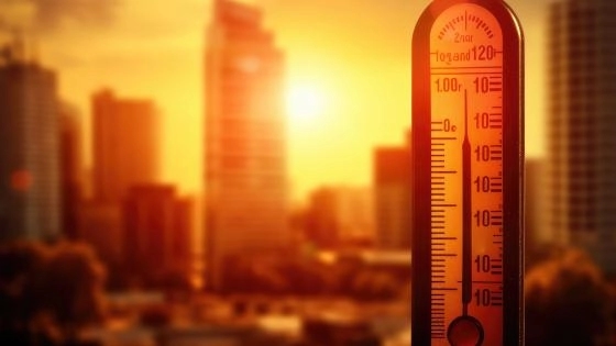 Invisible killer: How rising heat waves silently strain lives and livelihoods - News Karnataka