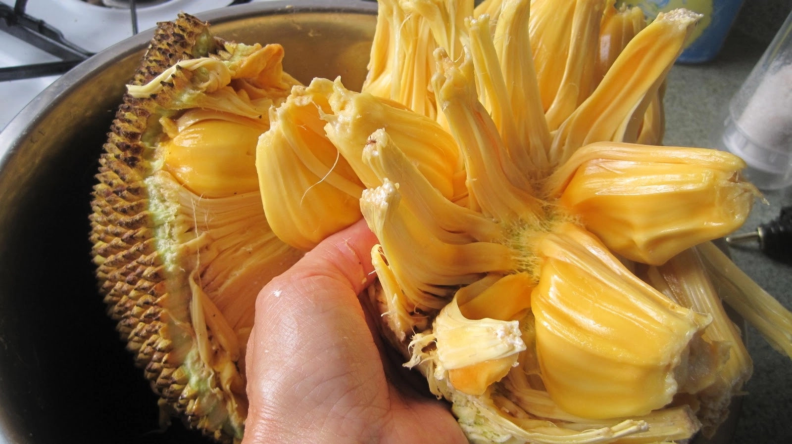 Jackfruit rises as India’s summer superfood and global vegan hero - News Karnataka