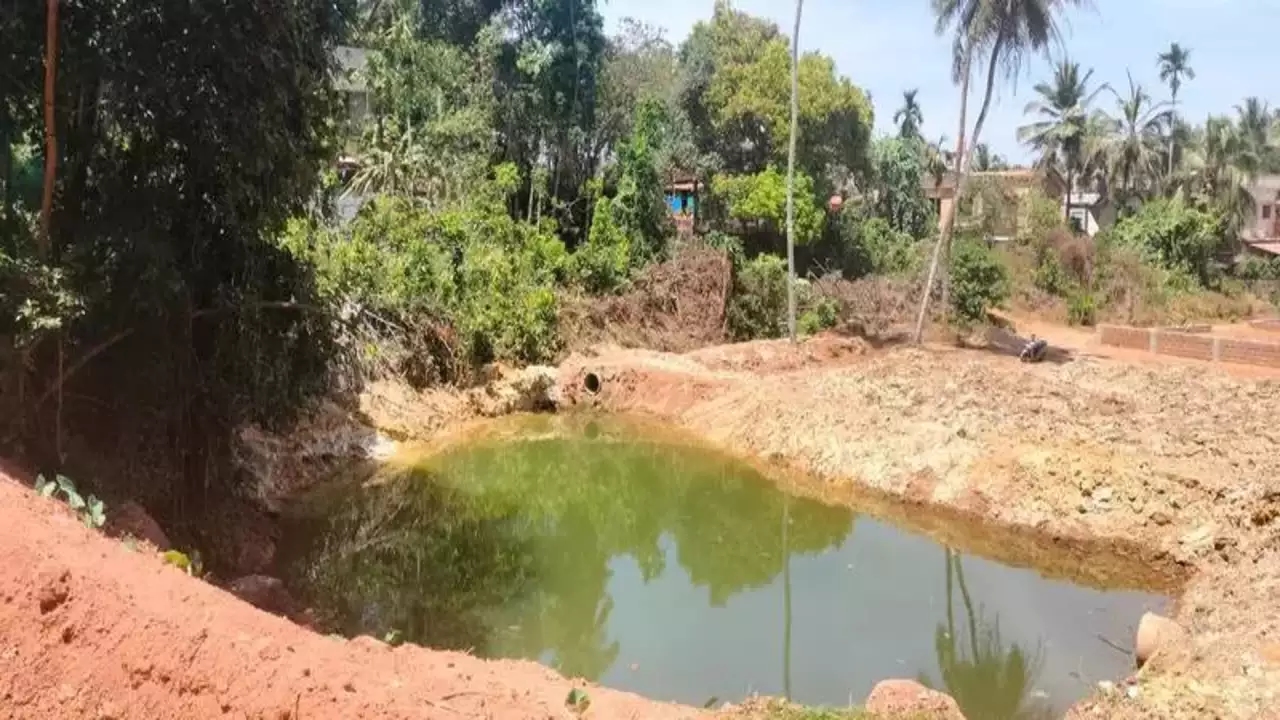 Mangaluru family's green initiative revives 30-year-old pond - News Karnataka