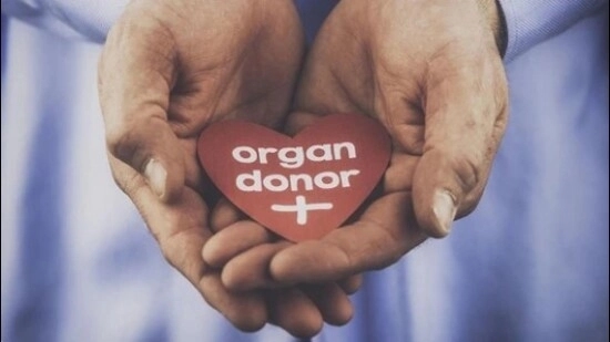 Mangaluru woman’s organ donation saves four lives - News Karnataka