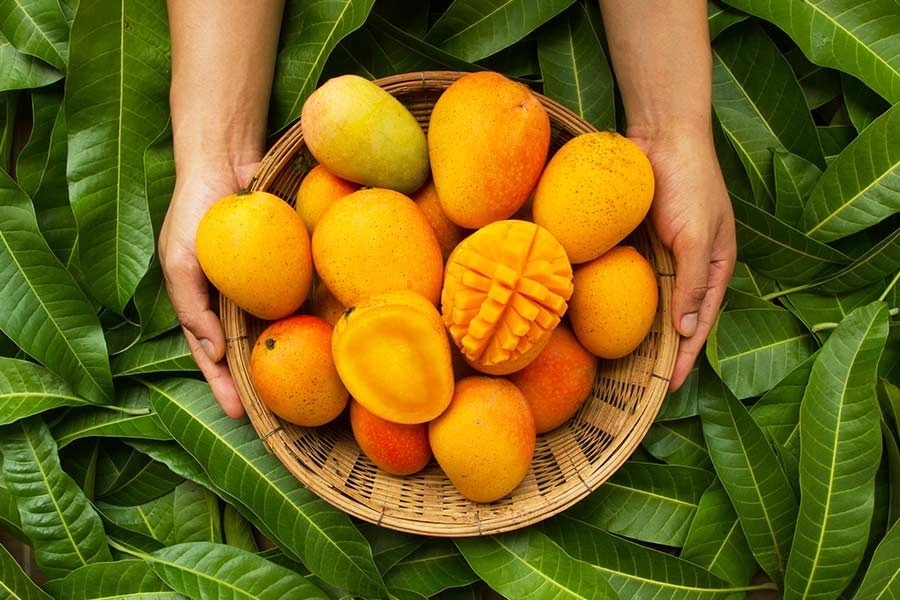 Mango prices soar amidst scorching heat in India - News Karnataka