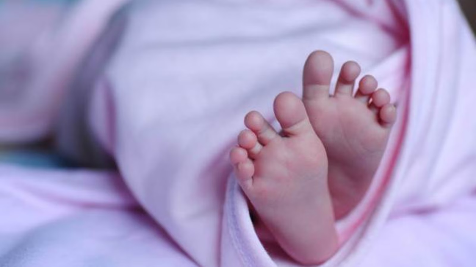 Newborn found dead in Hassan drain, police launch probe - News Karnataka